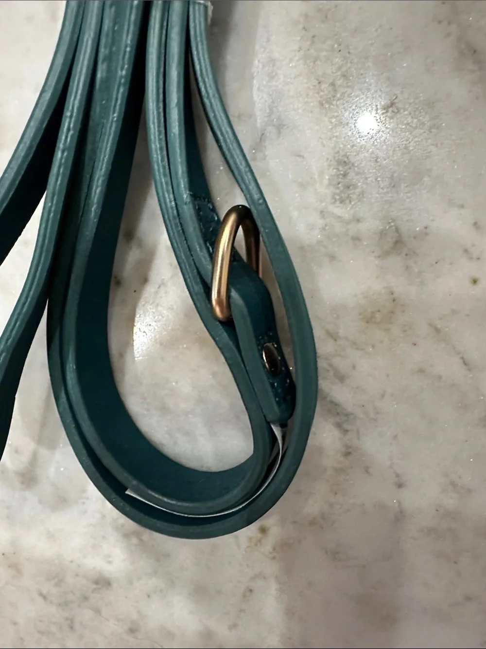 Bond & Co teal dog